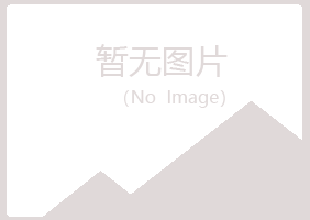 河源夏日能源有限公司